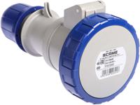 3183243 Scame IP66, IP67 Blue Cable Mount 2P + E Industrial Power Socket, Rated At 32A, 230 V