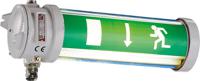 nor000005160010 Eaton Emergency Hazardous Area Light Fitting, LED, 220 → 240 V ac