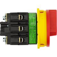 074320-p3-100easvb Eaton 3P Pole Panel Mount Isolator Switch - 100A Maximum Current, 55kW Power Rating, IP65