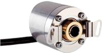 dbs36e-bbak001024-1060147 SICK Incremental Incremental Encoder, 1024 ppr, TTL Signal, Blind Hollow Type, 8mm Shaft