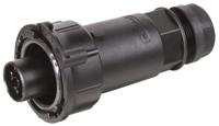 9705142531 Wieland RST50i5 Series Connector, 5-Pole, Female, 1-Way, Cable Mount, 50A, IP66, IP67, IP69