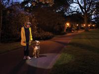 h32 LEDLENSER LED H3.2 Head Torch 120 lm, 100 m Range