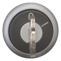 111775-m22-wrs-ms10 Eaton RMQ Titan 2-position Key Switch Head, Maintained, 22.5mm Cutout