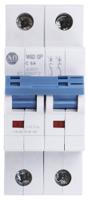 1492-spm2c060 Allen Bradley 1492 1492-SPM MCB, 2P, 6A Curve C, 277V AC, 96V DC, 10 kA Breaking Capacity
