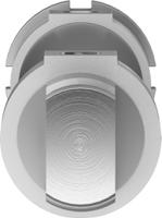 dsnu-32-125-ppv-a Festo 125 mm Pneumatic Roundline Cylinder - 196025 DSNU Series, Double Acting Acting