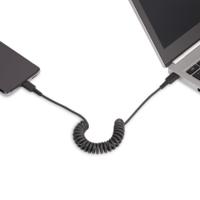 r2ccc-50c-usb-cable StarTech.com USB 2.0, Male USB C to Male USB C, 480Mbps, 500mm