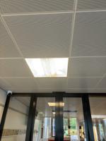 146111 Bailey Electric & Electronics bv LED PL 2G11 LED Bulbs 8 W(18W), 3000K, Warm White, Single Ended shape