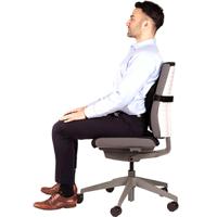 8026501 Fellowes Black Foam Back Support