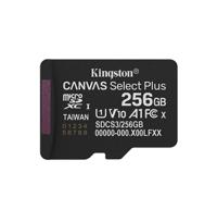 sdcs3256gbsp 256 GB MicroSDXC Micro SD Card, Class 10, UHS-I