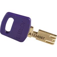 150250 Brady LOTO-101 Key Weatherproof Nylon, Steel Padlock, 6.35mm Shackle, 38.00mm Body