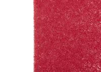 sco-02-r-sh05p-1 Saul D Red Scouring Pad 230mm x 150mm