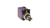 cw4k-21be20 Idec IP65 Key Switch, DPST 2-Way