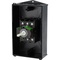 227868-p1-32i2hsvb Eaton 3P Pole Surface Mount Isolator Switch - 32A Maximum Current, 15kW Power Rating, IP65