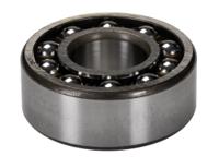 2200-etn9 SKF 2200 ETN9 10 mm ID 2 Row Self-Aligning Ball Bearing -, 30 mm OD