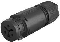 4102130431 Wieland RST 08i2/3 Series Circular Connector, 2-Pole, Female, Cable Mount, 8A, IP66, IP68, IP69