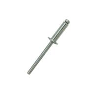 223-1167 RS PRO Stainless Steel Blind Rivet, 4.8mm