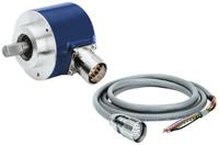 z-130005 Baumer Female 12 way M23 to Female Free End Sensor Actuator Cable