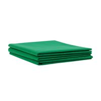 286473 FROGTAPE FrogTape Green Non Woven Fabric Cloths, Pack of 3