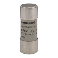 e218205 Mersen 100A Ceramic Cartridge Fuse, 22 x 58mm