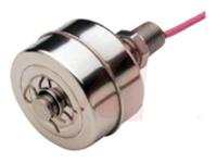 79990 Gems Sensors LS-1750 Series Level Switch Level Switch, SPST NO Output, Vertical, Stainless Steel Body