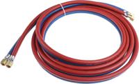 712-113 GCE Twin Hose Assembly