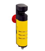 1122587 SICK FLX1 Safety Interlock Switch, Power, Vistal
