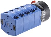 cg8a223gba001ft Kraus & Naimer, 4P 2 Position 60° Double Throw Cam Switch, 20A