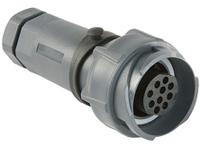 pxp701106sst0709 Bulgin Circular Connector, 6 Contacts, Cable, Standard Connector, Socket, Female, IP66, IP68, IP69K, Buccaneer 7000