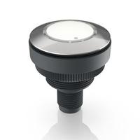 1110112010200 RAFI RAMO 30 T Series White Indicator, 20 → 28V dc, 30.3mm Mounting Hole Size, Threaded Ring Termination, IP66,