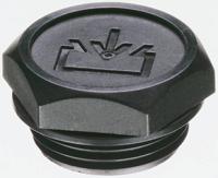 58631 Elesa-Clayton, Glass Fibre Reinforced Plastic (GRP) Hydraulic Blanking Plug, Thread Size 3/4 in