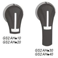gs2ah230 Schneider Electric Black Rotary Handle