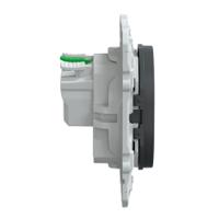 s340059 Schneider Electric Anthracite, 1 Gang, Ovalis C Series