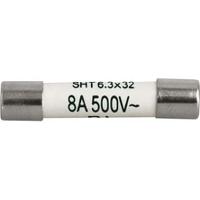 80205019g Schurter 6.3A T Ceramic Cartridge Fuse, 6.3 x 32mm