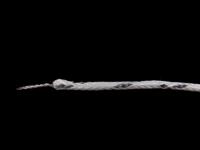 e25063type-j-welded-tipglassfiber2mcmpji CorregeE250 Type J Thermocouple 2m Length, 0.3mm Diameter, -40°C → +600°C