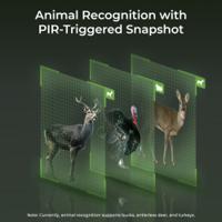 b4gpt4k06sp Reolink Indoor, Outdoor IR Solar Powered CCTV Camera, 3840 x 2160 pixels Resolution