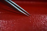 238-6249 RS PRO 120 mm, Stainless Steel, Strong, Tweezers