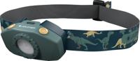502537 LEDLENSER Head Torch