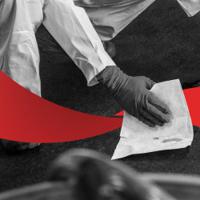 8377 WYPALL X80 Power Clean Heavy Duty Cloths  White Wipes for Hand Cleaning, Dry Use, Roll of 475, 315 x 310mm, Single