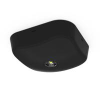 afaled3nmstip65b Ansell Lighting LED Emergency Lighting, Surface Mount, 3 W, Non Maintained