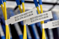 fle6511 Brother Black on Yellow Label Printer Tape, 45 mm Width, 45mm Label Length, 21mm Label Width