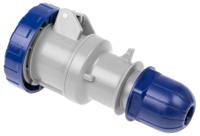 3181643 Scame IP66, IP67 Blue Cable Mount 2P + E Industrial Power Socket, Rated At 16A, 230 V