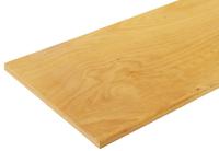 11201113mpx Bott 600mm x 1500mm x 30mm Work Top