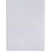 020787 Brady R4300, R7950 Light Grey Label Roll, 76.2mm Width, 50.8mm Height, 1000Per Roll Qty