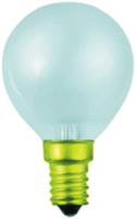 95589038 Werma Incandescent Clear Bulb, E14/SES 230 V