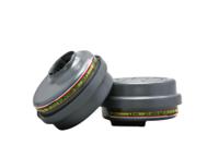 8117029 Filter BLS BLS 200 Dust, Gas, Vapour for use with BLS 4000 Next S/R, BLS 5700 to BLS 5600