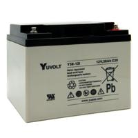 y38-12i Yuasa 12V Insert M5 Sealed Lead Acid Battery, 38Ah