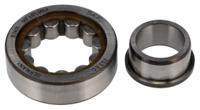 nj-203-ecp SKF NJ 203 ECP Cylindrical 17 mm ID Roller Bearing, 40 mm OD