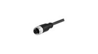 esg-34ch0500g Baumer Female Actuator/Sensor Cable, 5 m