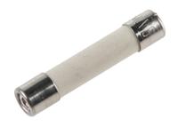 70-010-0410a SIBA 10A F Ceramic Cartridge Fuse, 5 x 25mm