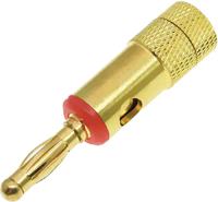 208-0281 RS PRO Red Male Banana Plug, 4 mm Connector, 24A, 30V, Gold Plating